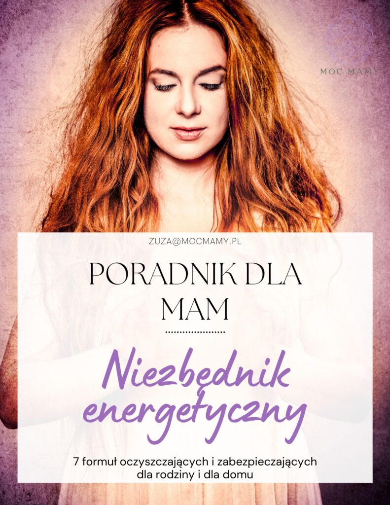 Niezbędnik energetyczny okładka